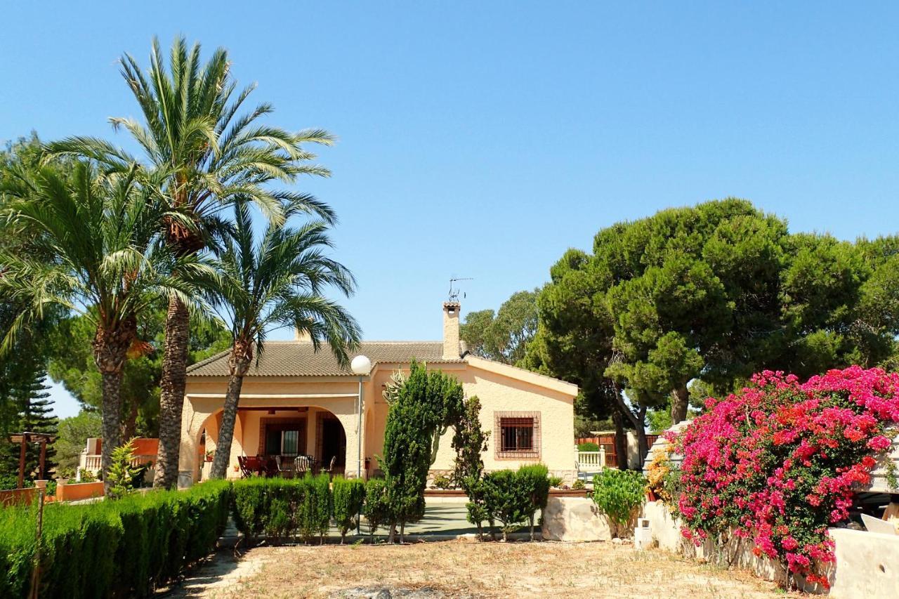 Villa Buganvilla 埃尔切 外观 照片