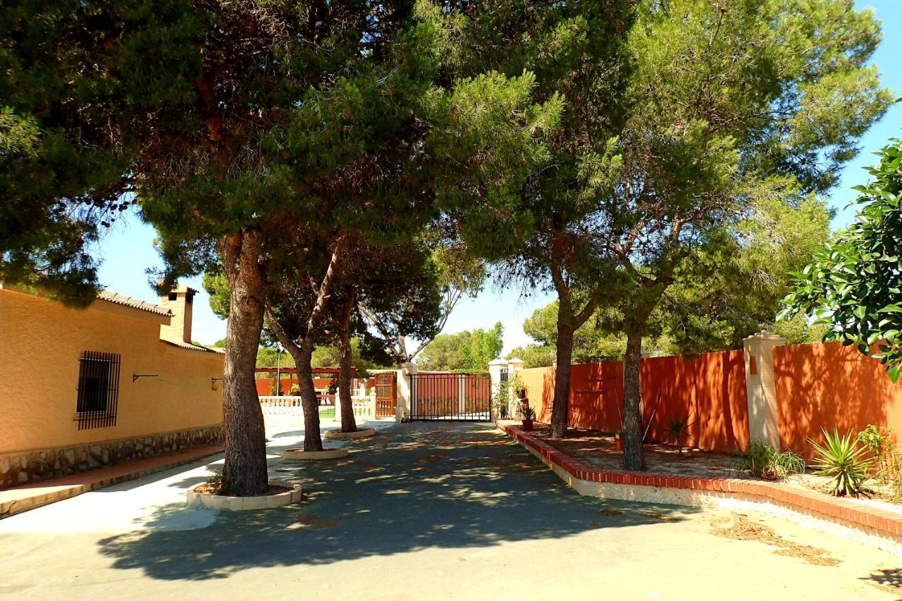 Villa Buganvilla 埃尔切 外观 照片